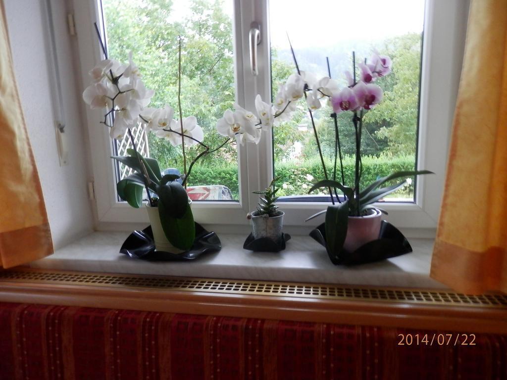 Ferienwohnung Wurm Anger  Екстер'єр фото